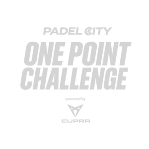 ONE POINT CHALLENGE